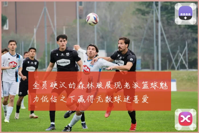 全员硬汉的森林狼展现老派篮球魅力低估之下赢得无数球迷喜爱